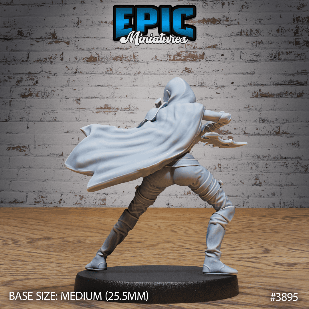 Elf Guild Rogue Attack - Image 2