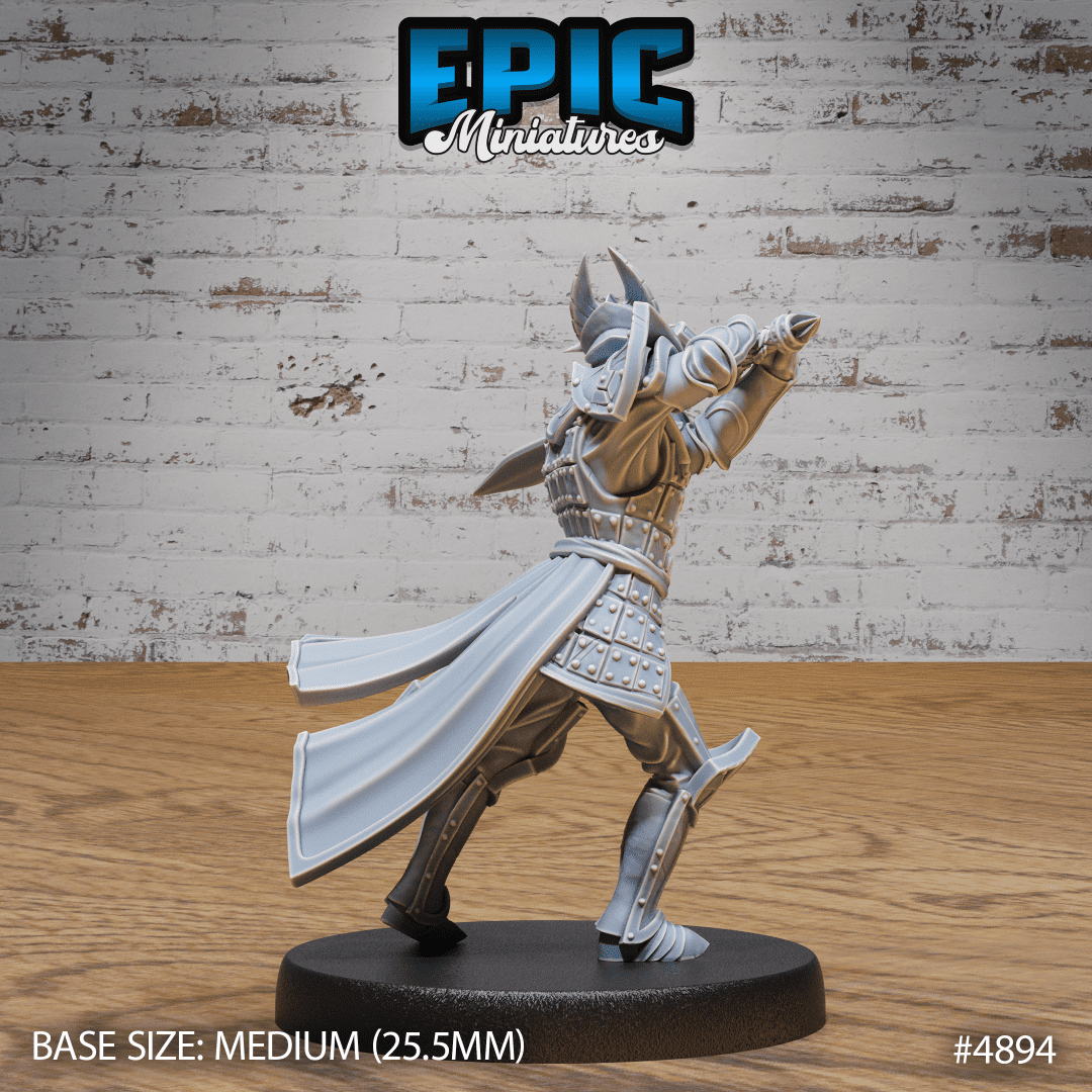 Platinum Paladin Stance - Image 2