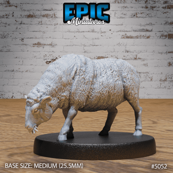 Sheep Eating