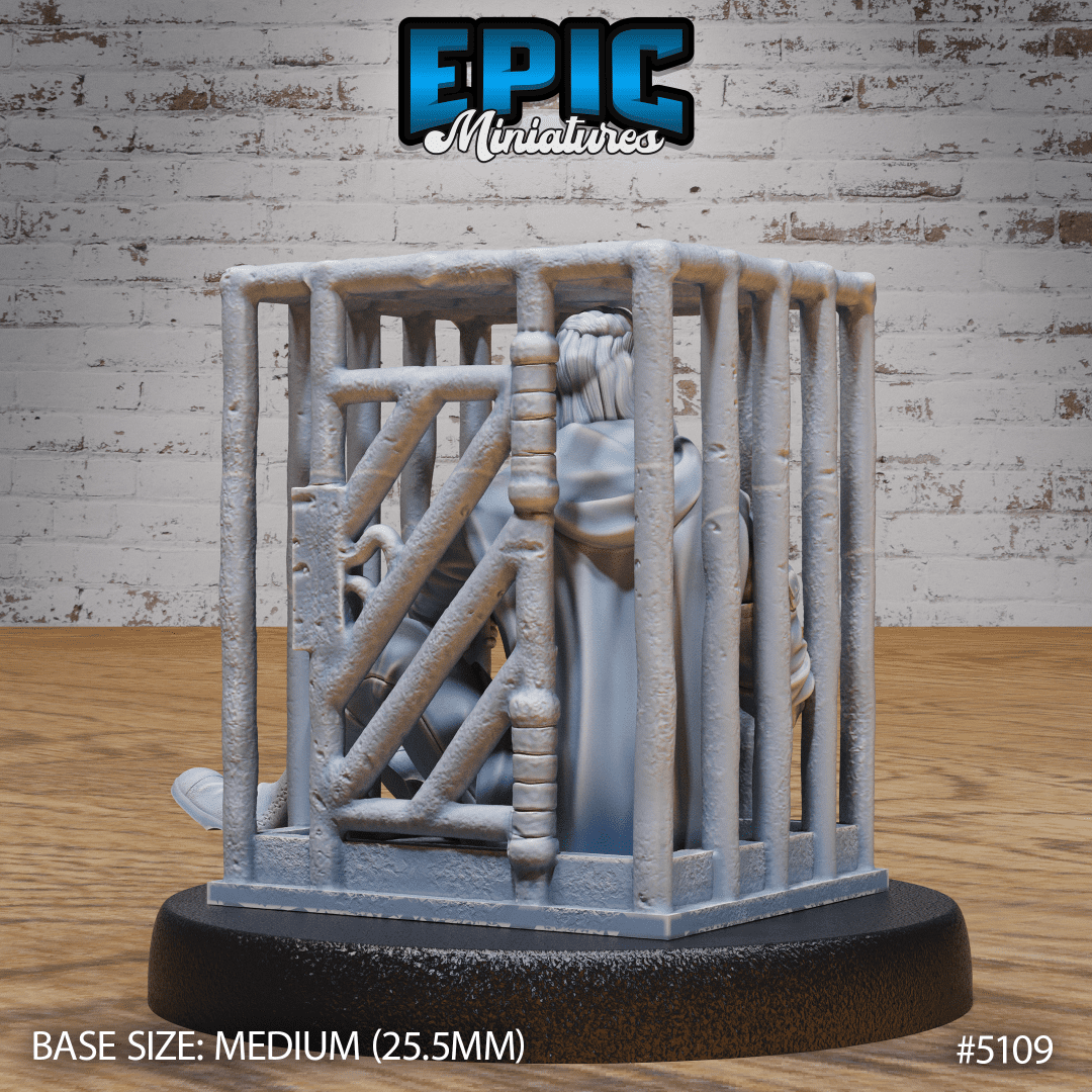 Prisoner Cage - Image 2