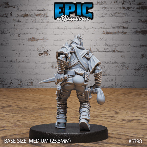 Bandit Thief - Image 2