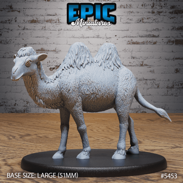 Camel